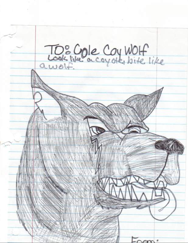 This is for Cole the Coywolf