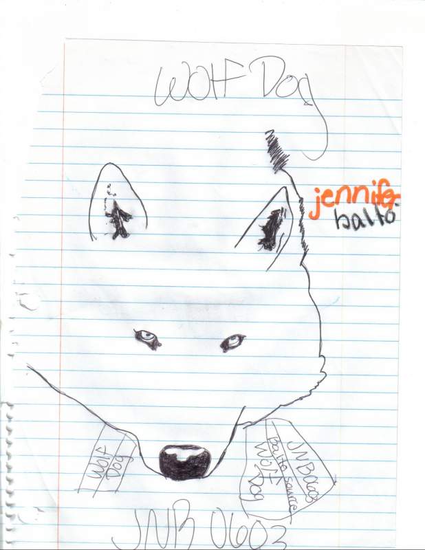 My wolfdog