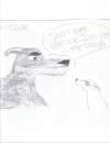 Bully Dog