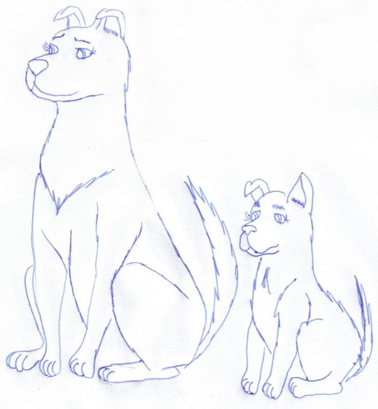 My dogs