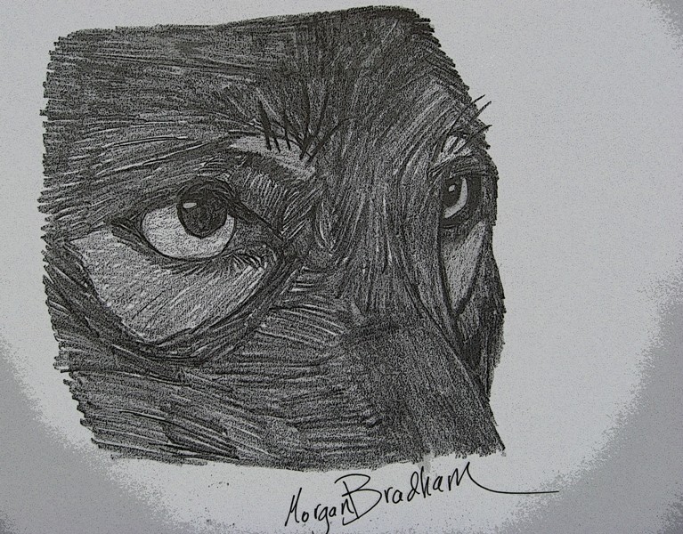 Wolves' Eyes