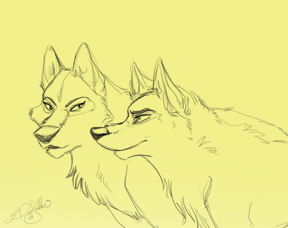 The Sketch