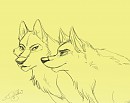 The Sketch