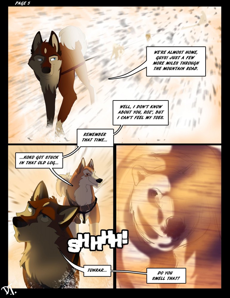 Page 5