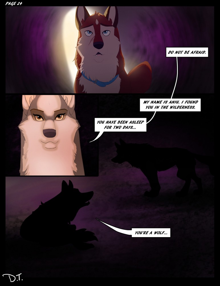 DOTW Page 24