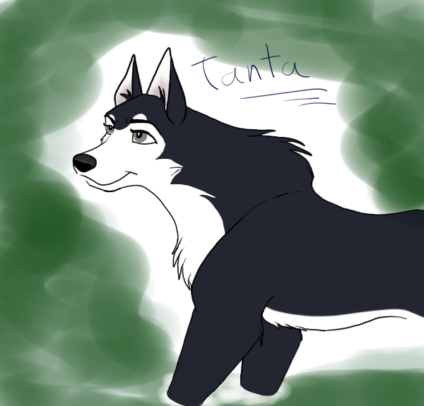 Tanta Colored