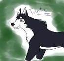 Tanta Colored