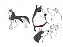 Cade's Concept