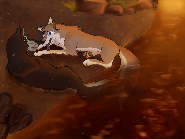  A f t e r   t h e    F i r e