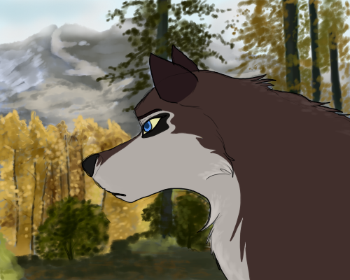 Fall has Come