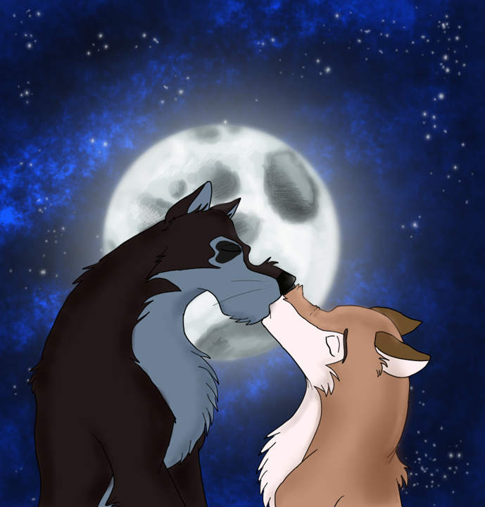 In the Moon's Light