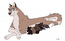 Aleu and Niju's litter of 10