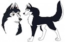 Newest- Tanta