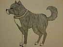 Balto
