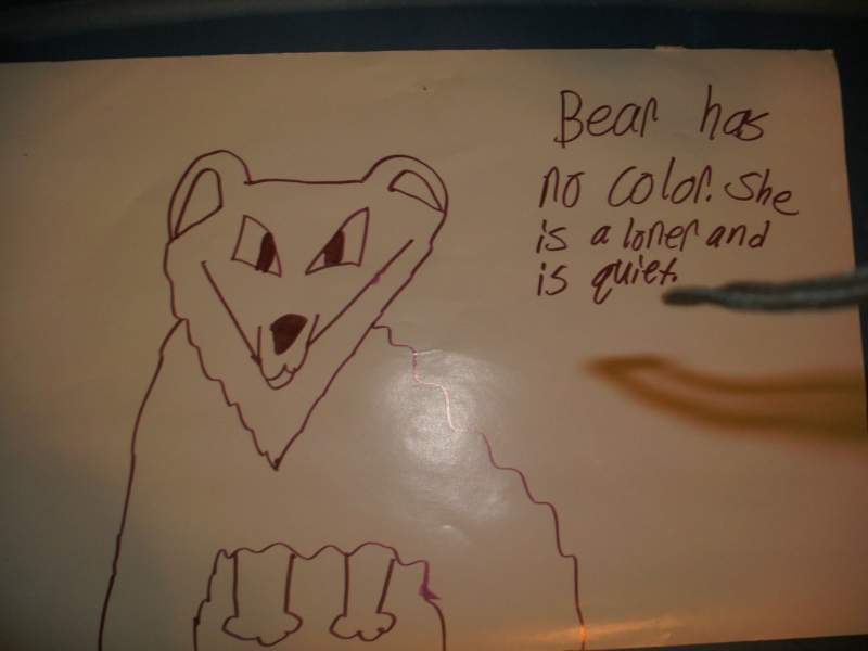 bear