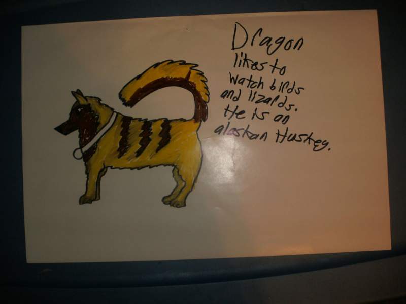 dragon
