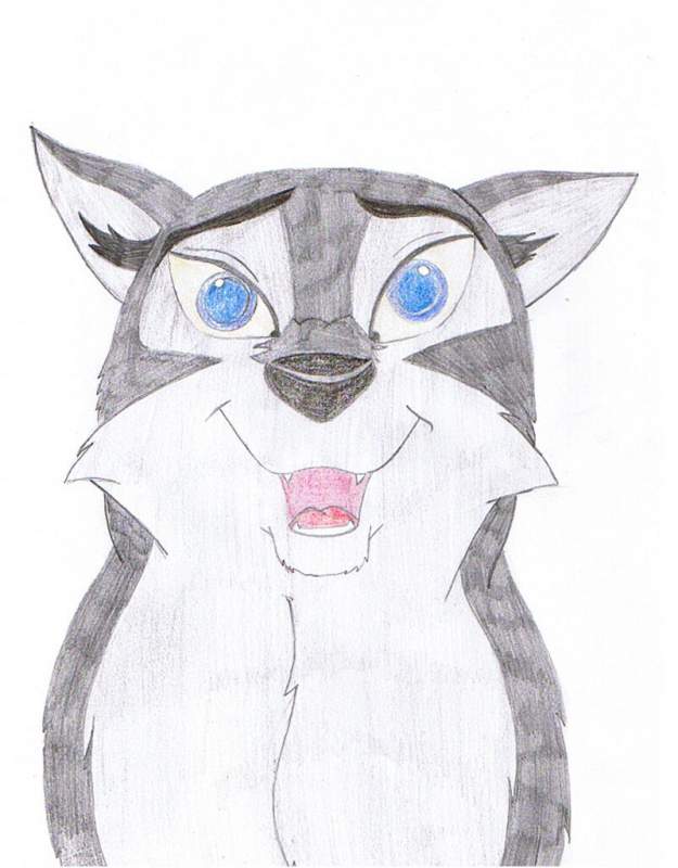 aleu head