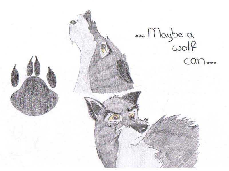 wolf