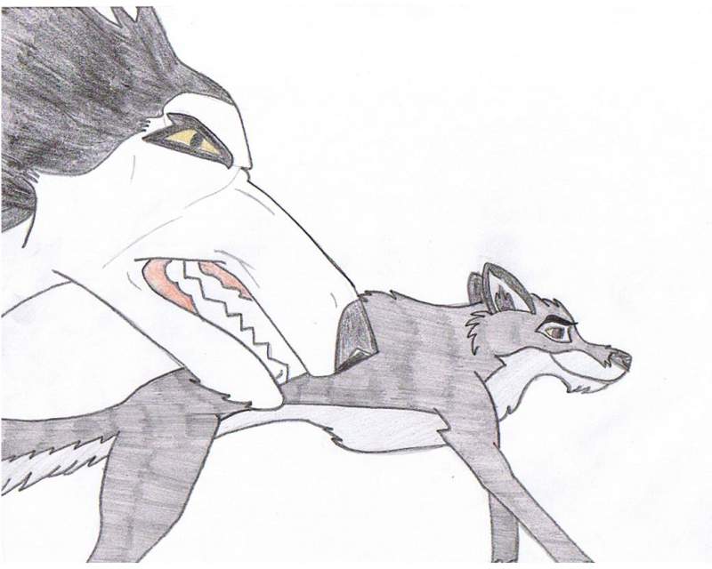 race