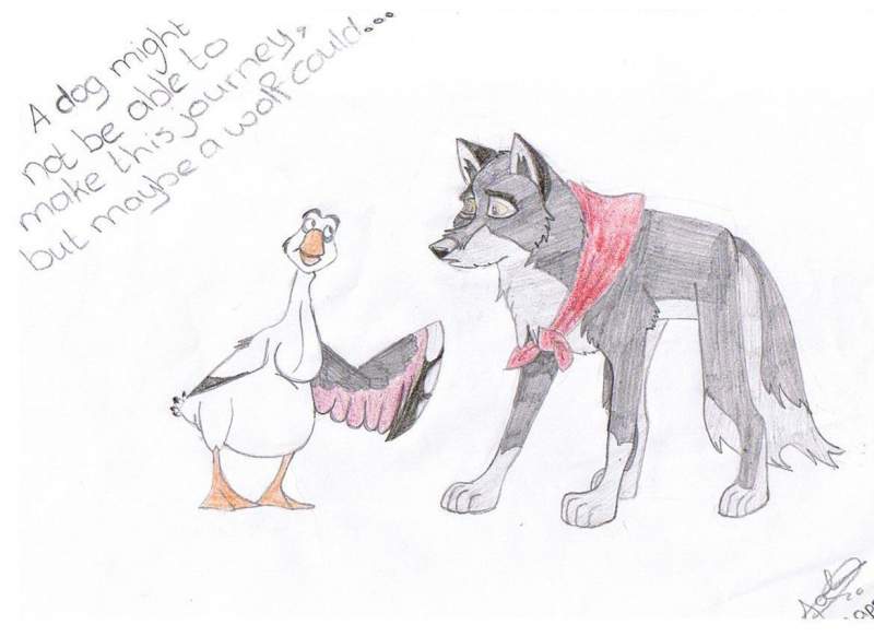 wolfdog