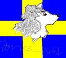 Go sweden!