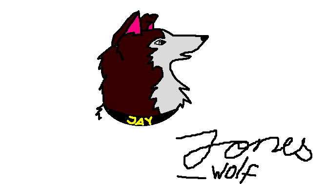 This is Dingo
