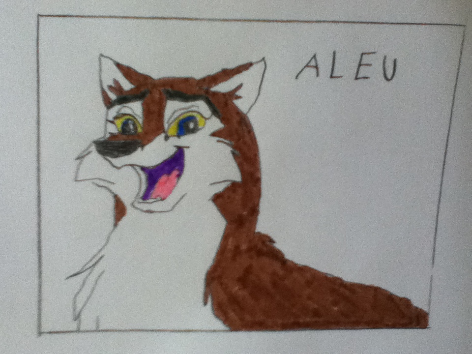Aleu frame