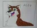 Aleu frame