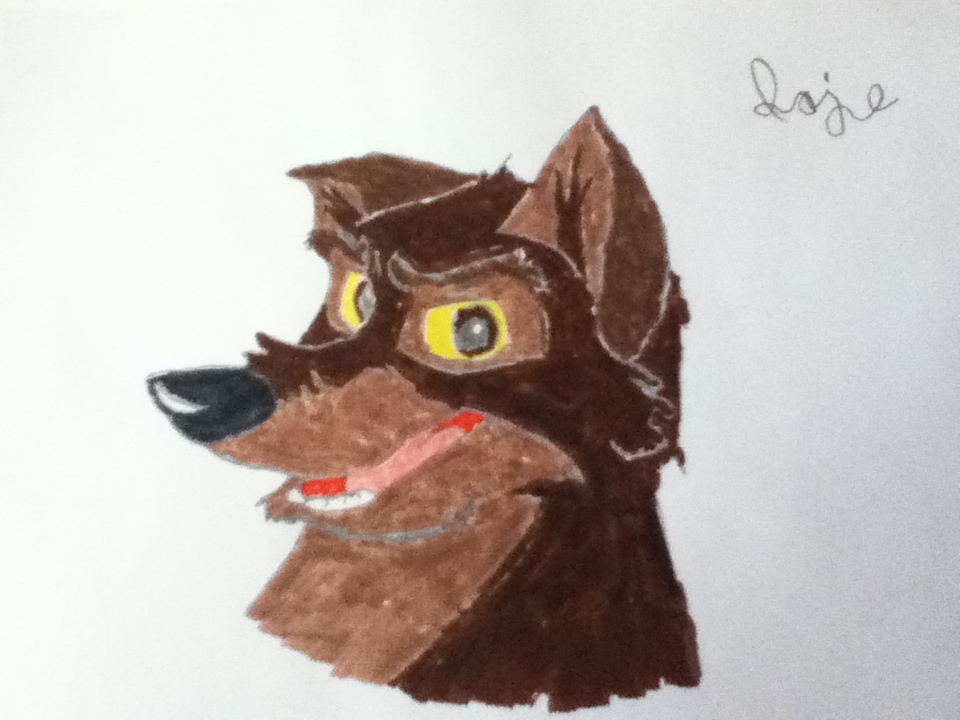 not a dog, not a wolf.