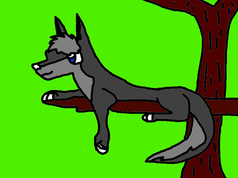 Jowish