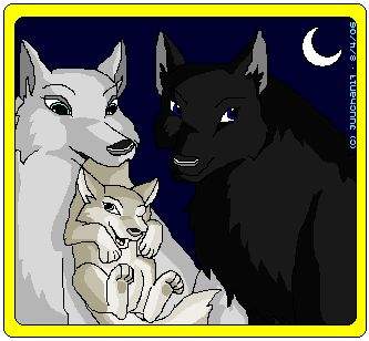 [OLD] I think Dusty's a wolfer you guys