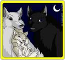 [OLD] I think Dusty's a wolfer you guys