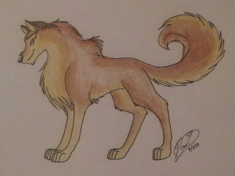 Aleu - A Natural Blend