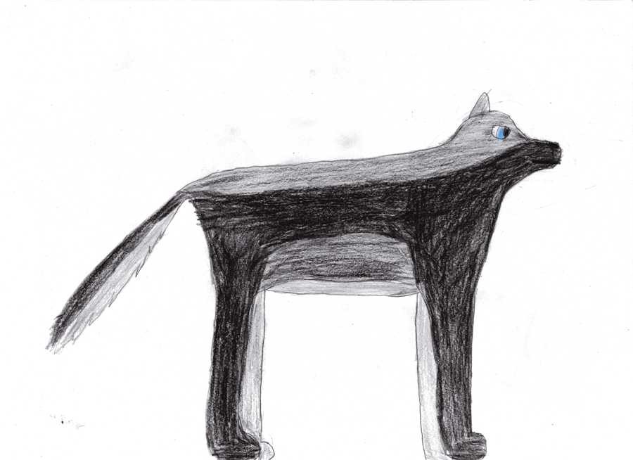 A drawing of Markus