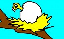 Baby Bird