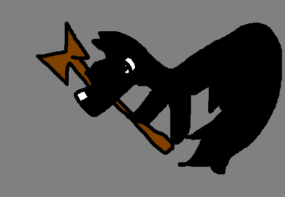 Shadoe