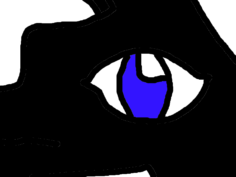 Eye of  the night.