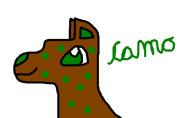 Camo