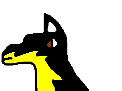Shadow