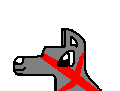Skar