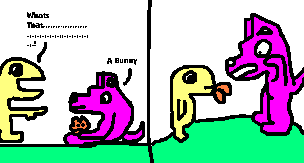 Cheese meets the Bunny