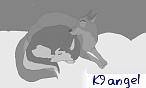 k9angel