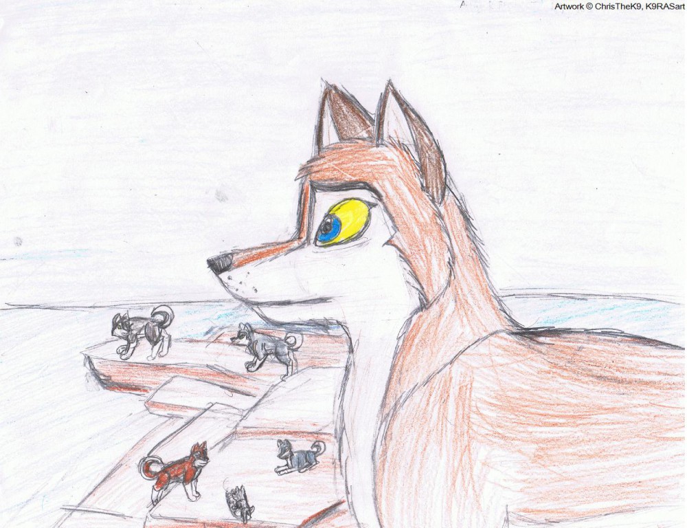 (OLD ART) Watching over the pack