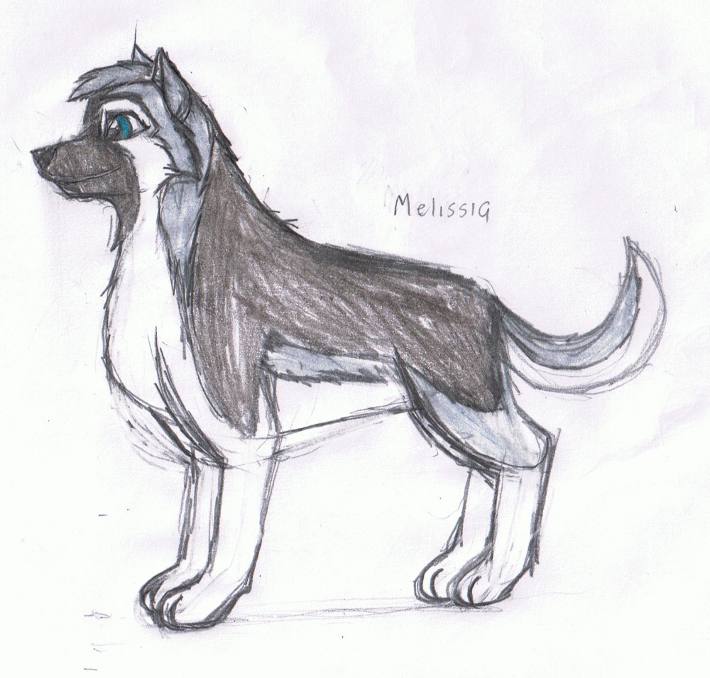Melissa Concept