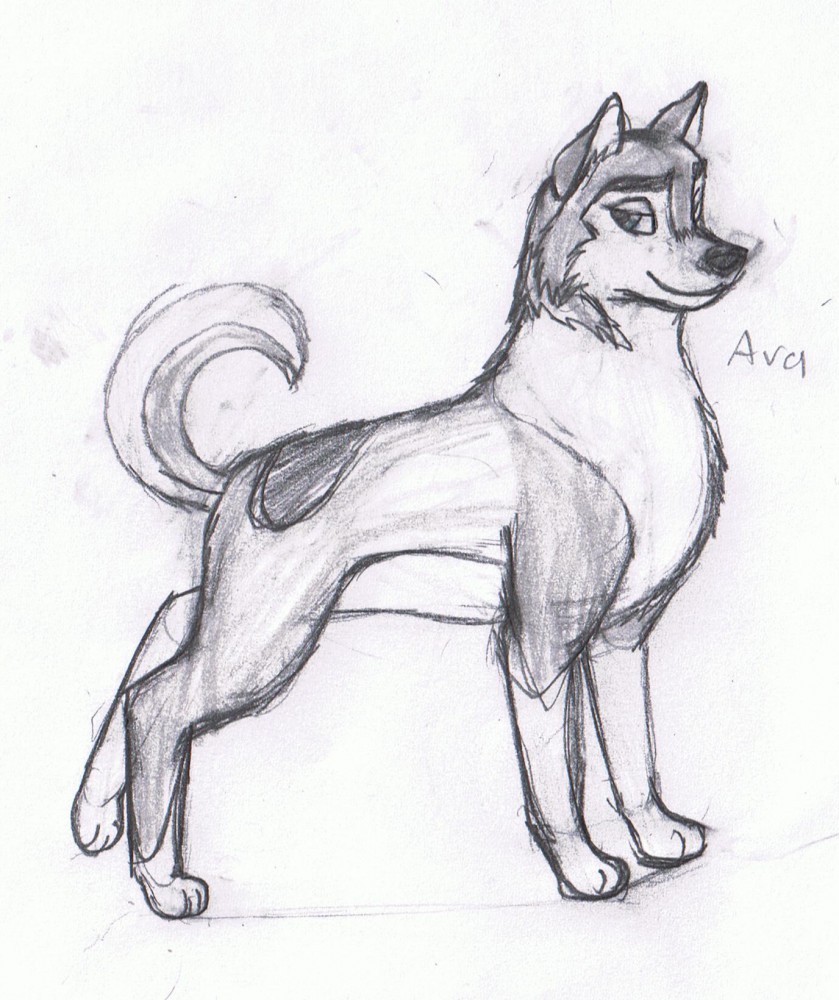 Ava redesign.