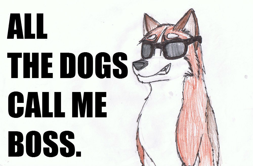 Like a Boss (Gift/Request by Rebelness)