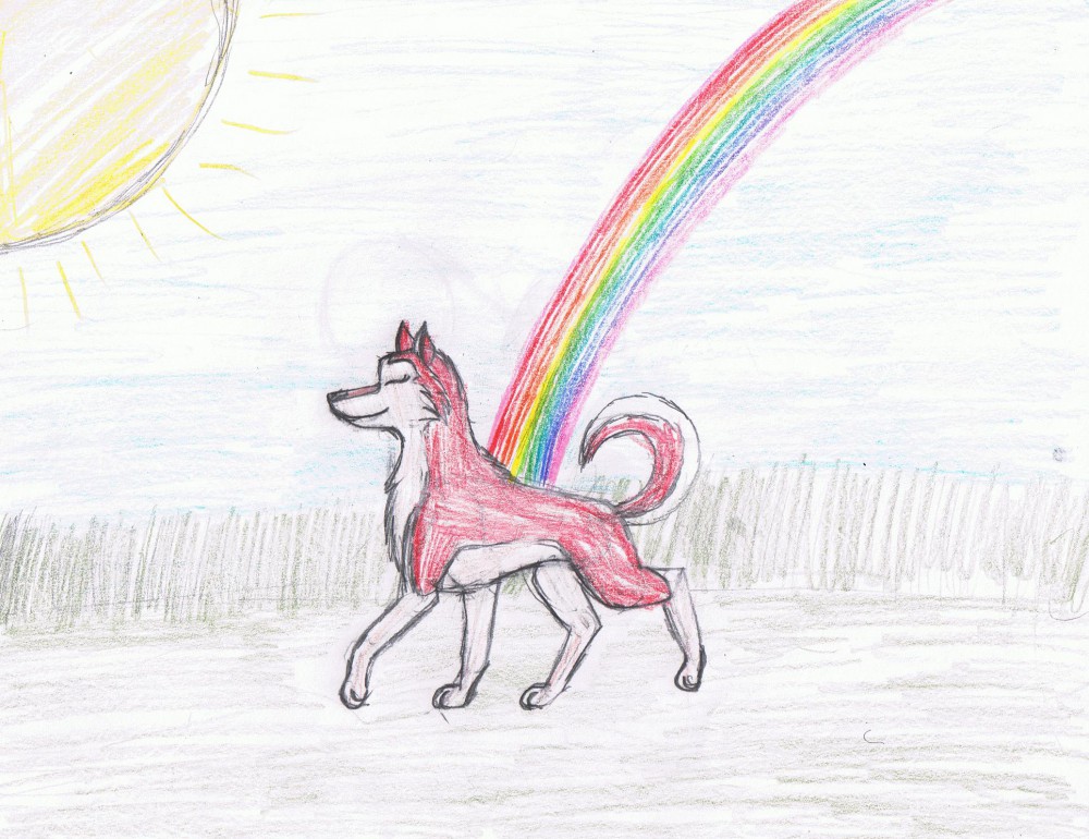 Sunshine Lollipops and Rainbows