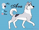 Ava's ref