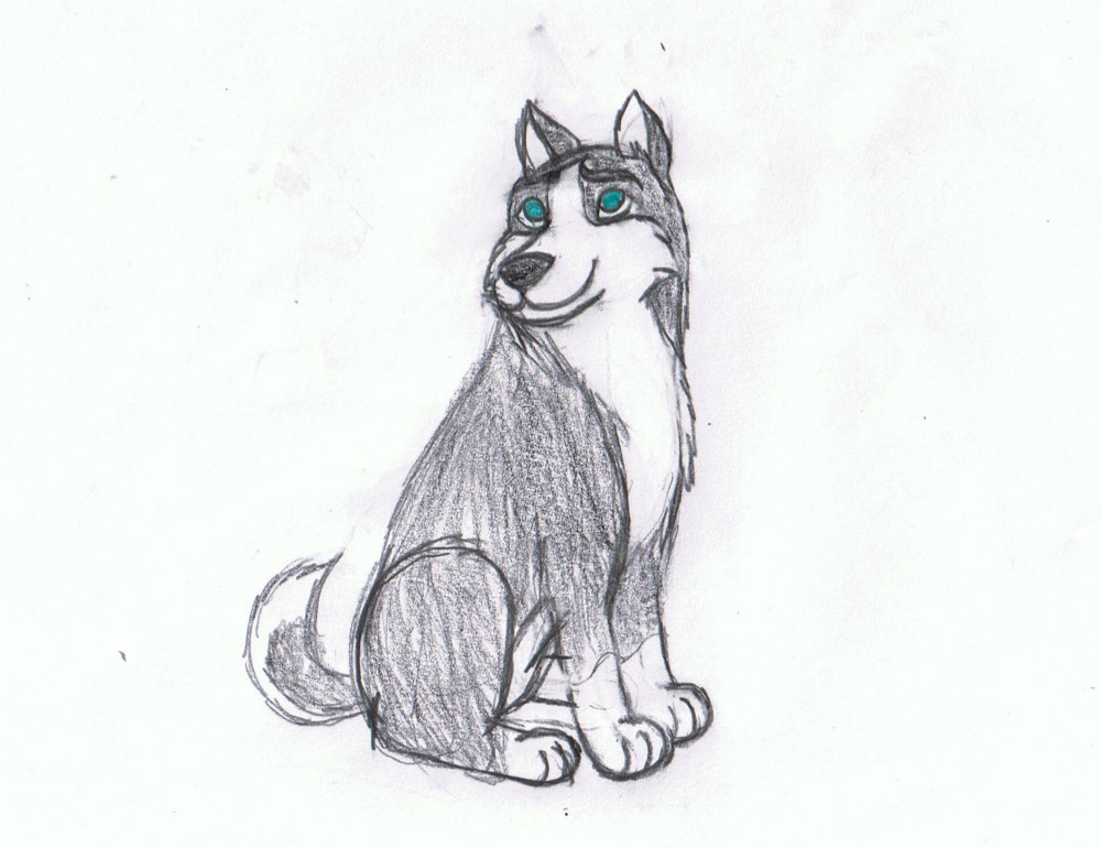 Tasha concept