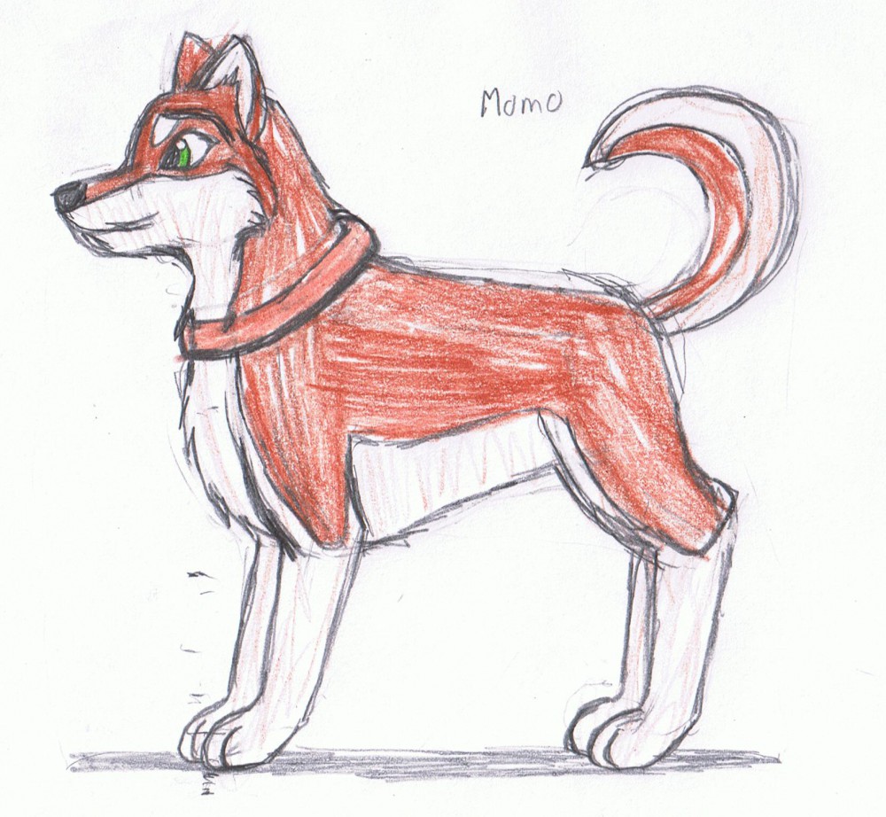 Momo Design ref